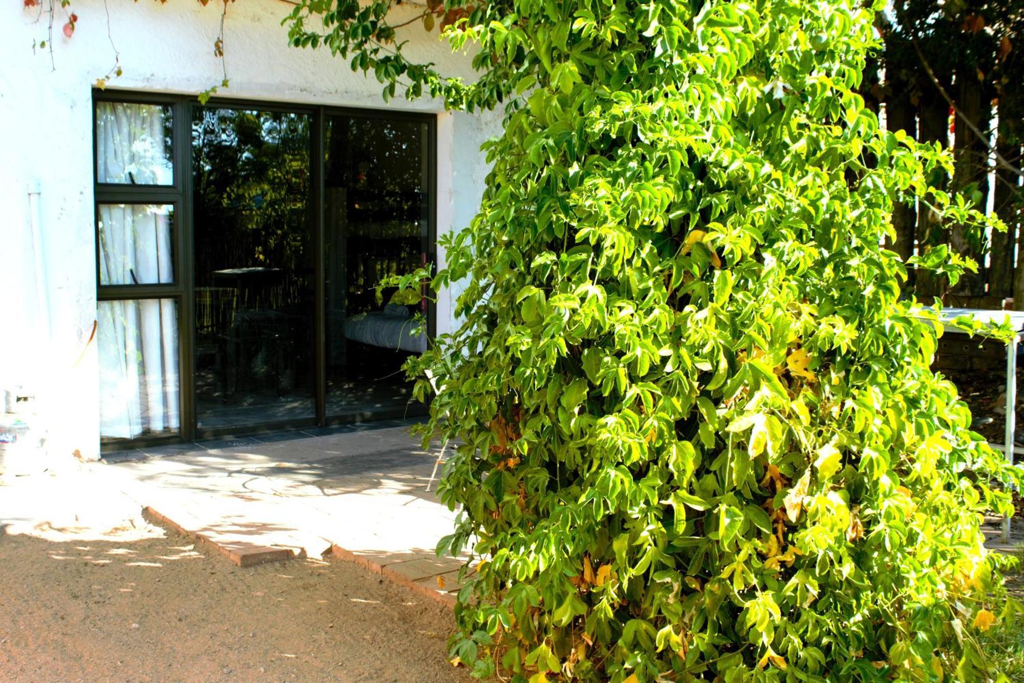Ditsem Guest Farm Upington Kültér fotó