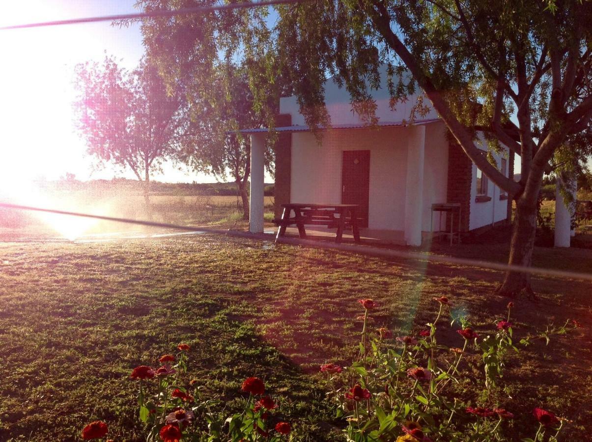 Ditsem Guest Farm Upington Kültér fotó