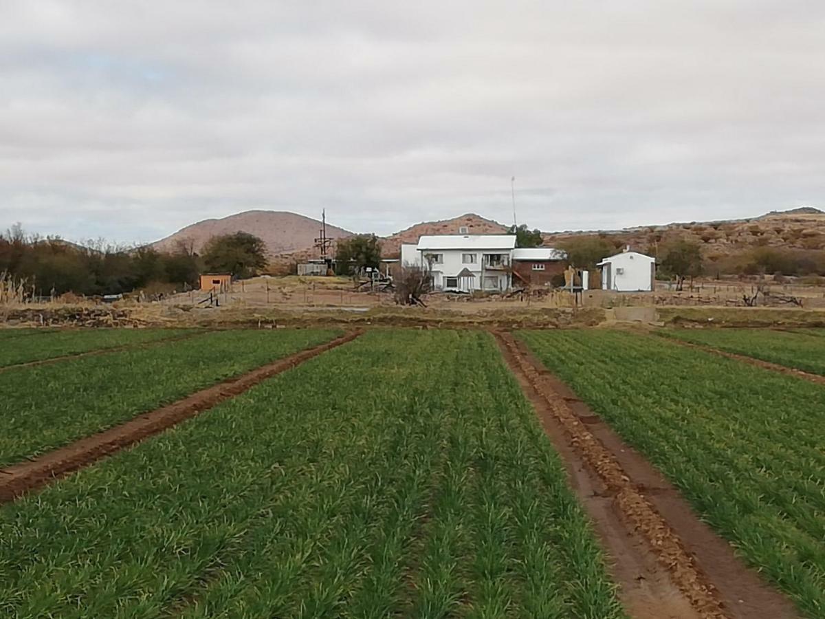 Ditsem Guest Farm Upington Kültér fotó